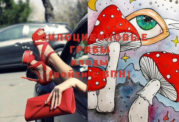 хмурый Абинск